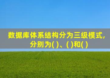 数据库体系结构分为三级模式,分别为( )、( )和( )